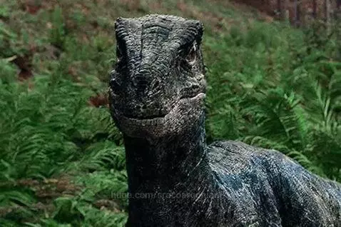 Velociraptor Name Blue 💖😊 she is a awesome dino by sracoargonian83