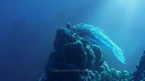 Into the Deep: Nature’s Voxel Voyage  🌊✨🌿  Hashtags: by vbookstudios