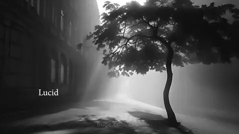 Lucid by sean