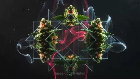 2035 Big Buds by byjules