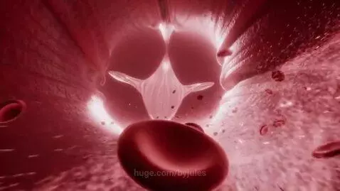 Celllular blood by byjules