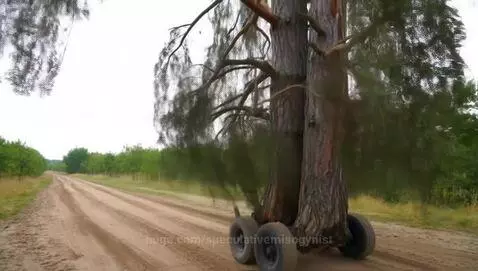 Tree on wheels by speculativemisogynist