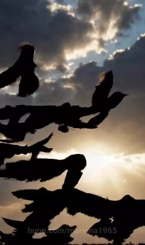 the crows are attacking by mariana1965
