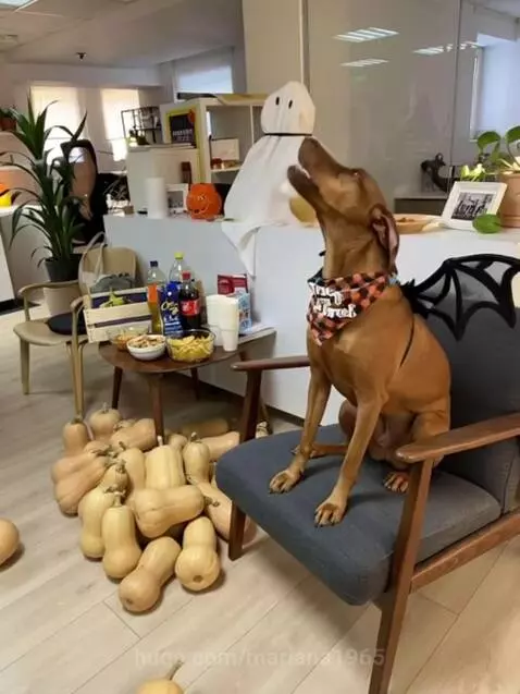 ECHO, family star by mariana1965