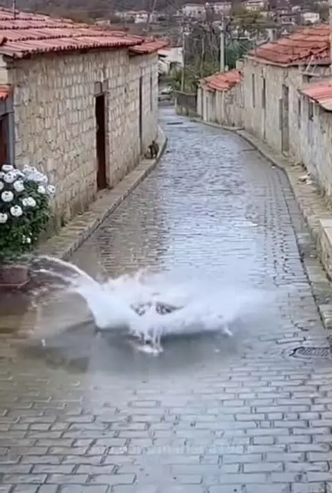 GRIEF,, by mariana1965