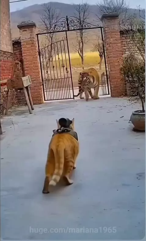 1,2,3,fire! by mariana1965