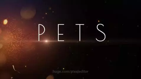 video poster