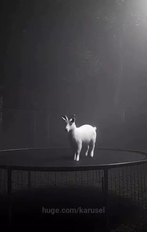 Ghost in the backyard by karusel