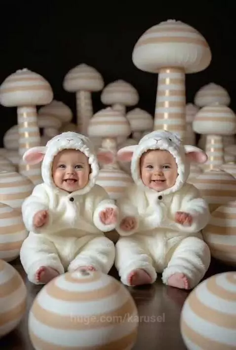im the cutest baby twins in animals costume by karusel