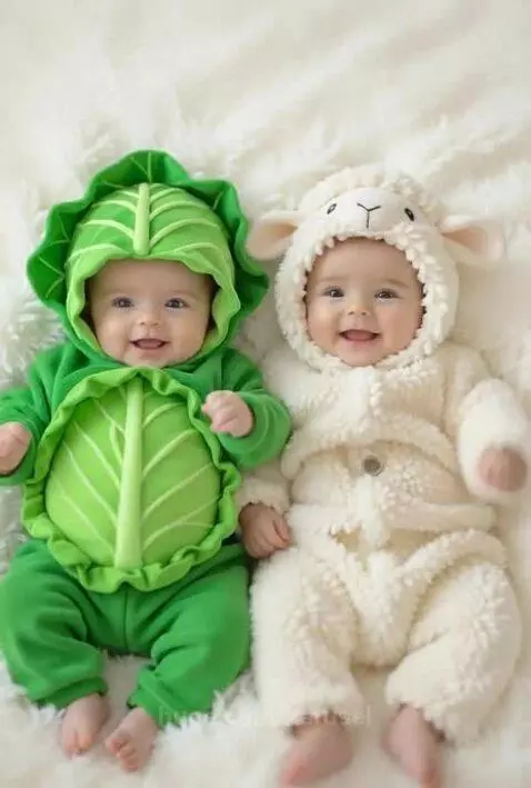 cute baby twins toddler in cabage animal costume by karusel