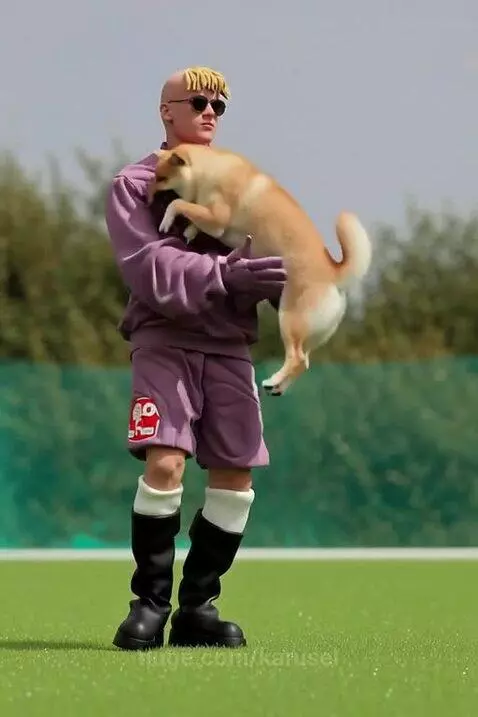 Shiba Uni puppy knocks off Romeo Backham by karusel