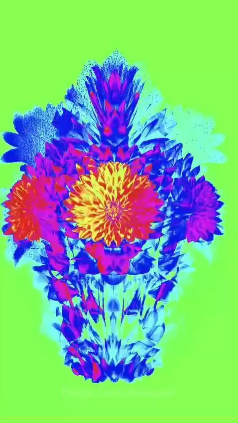 video poster