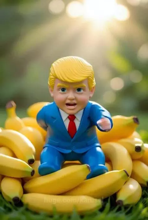 vote bananas by karusel