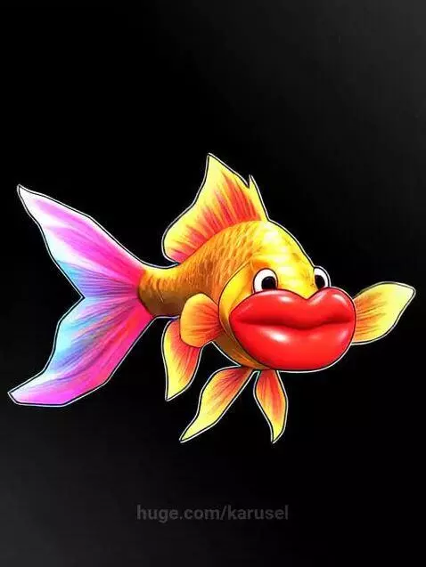botox  fish by karusel