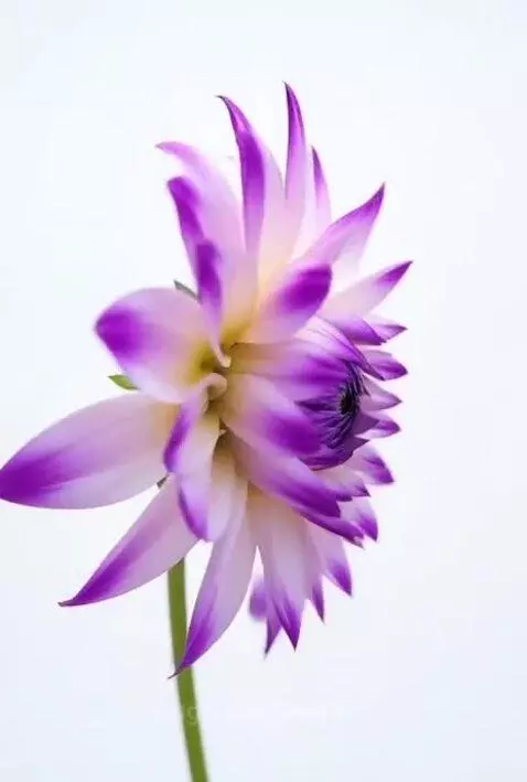 have a wonderfull day by karusel