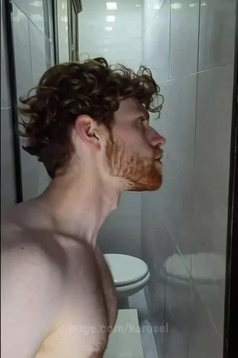 look at this guy kissing toilet walls, nuts? by karusel