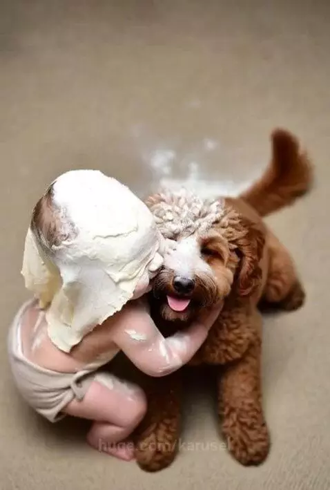 whos the cutest? by karusel