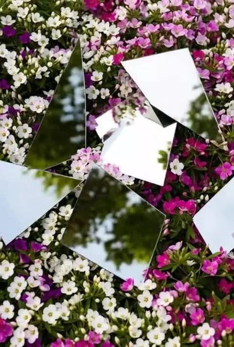 mirrors or flowers? by karusel