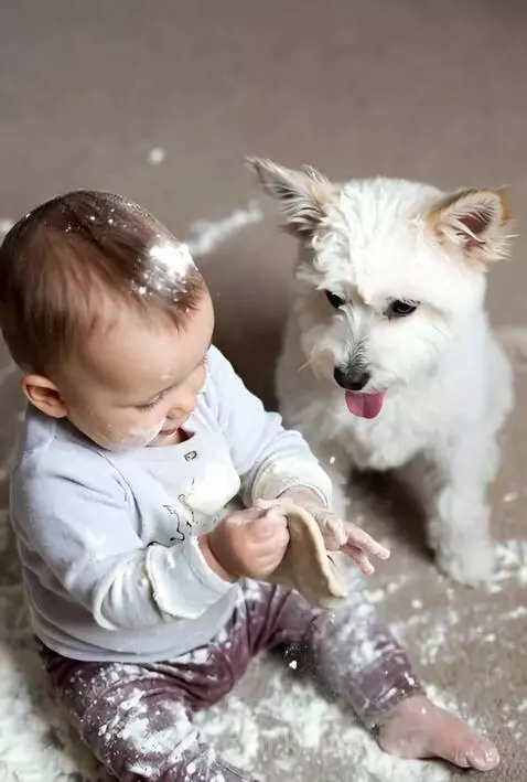 whos the cutest? by karusel