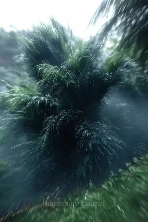 surreL nature by karusel