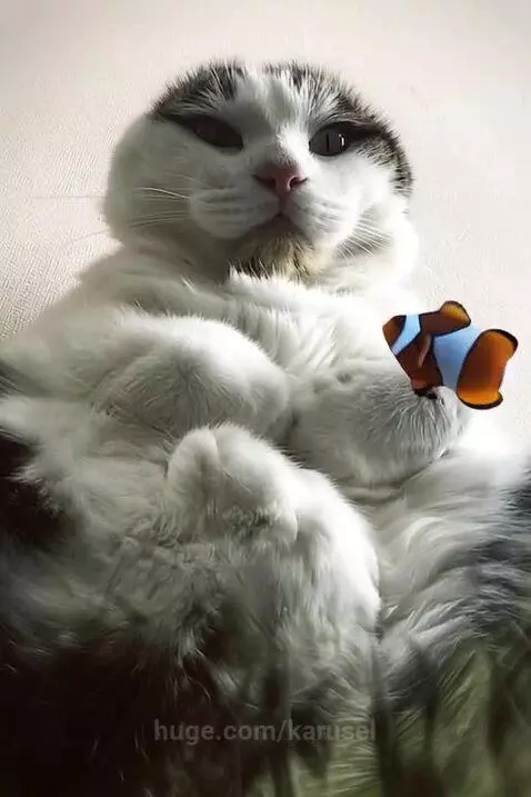 best swimmer by karusel