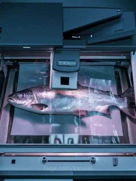 Fish photocopy Meme by karusel