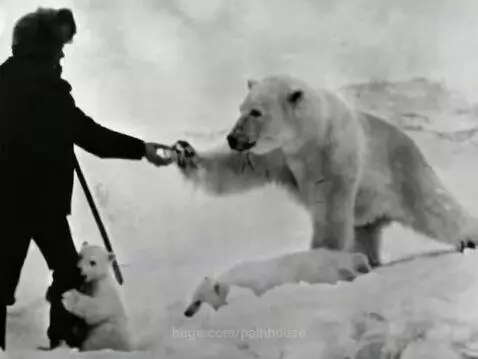 video poster