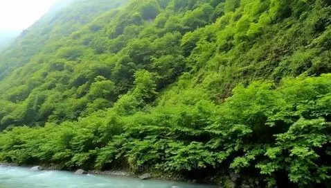 Lush green mountain by cindy46