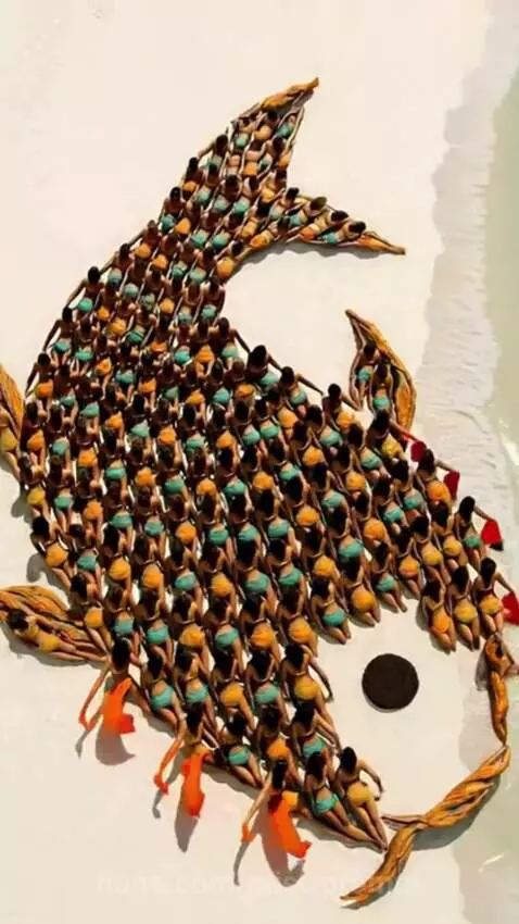 Drone Aerial: Dense Golden Koi Living Sculpture on the Beach by mistrprompt