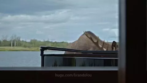 video poster