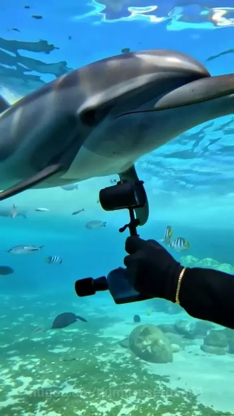 Underwater worlds - a GOpro underwater by dumitruserban61