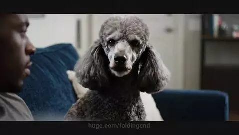 She gave him crabs... by foldingend