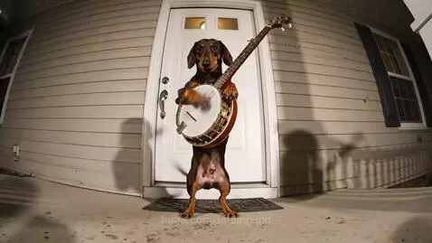 Dachshund dog playing a musical instrument on a porch at midnight, with an annoyed woman in the background.