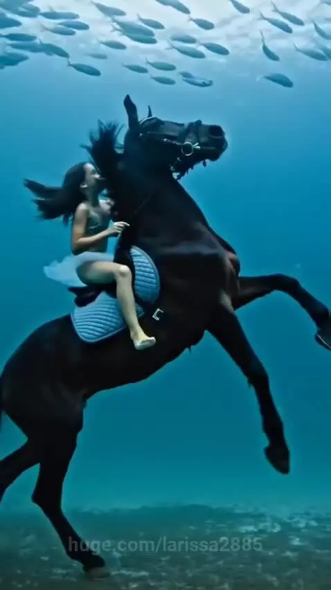Riding underwater by larissa2885