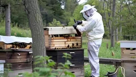 The bee Keeper by slimdaddy231