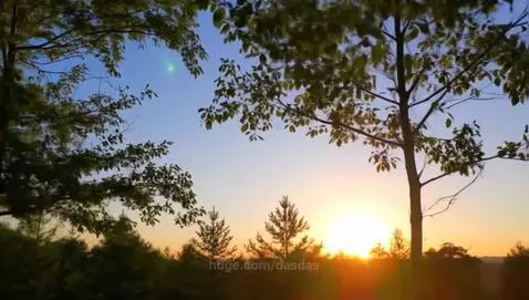 nature is so cool by dasdas