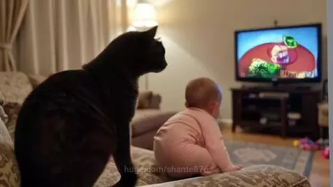 Cat watching movie with a baby. by shante876