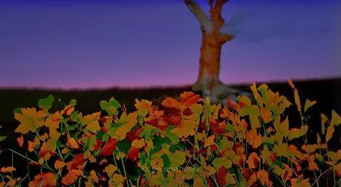 Nature taking course by mia