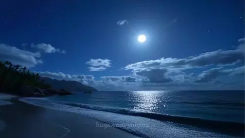Serene, moonlit, tropical beach. Let the waves take your wor... by enigma
