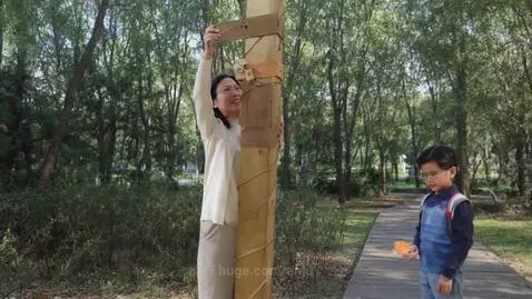 Video by anju