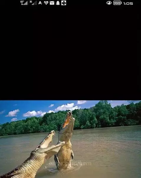 video poster
