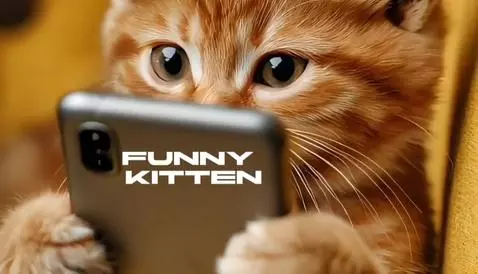 Funny Kitten by irinaneuro