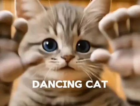 Dancing Cat by irinaneuro