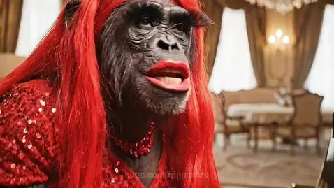 Chimpanzee wearing a red wig, lipstick, and sequined dress, playing a grand piano in an opulent room.