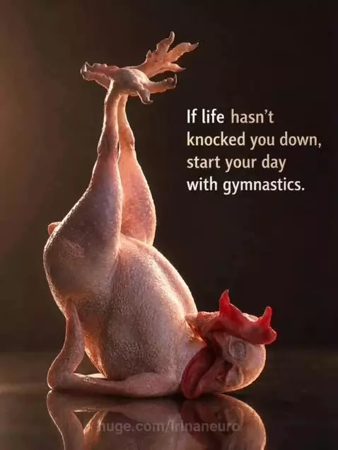 A raw, plucked chicken balancing on its head in a yoga pose, with legs extended upwards against a dark background.