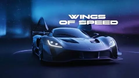 Wings of Speed by irinaneuro
