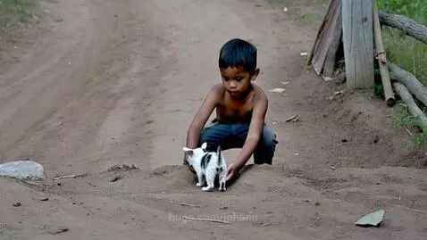 Cat sends joys to poor boy by johann