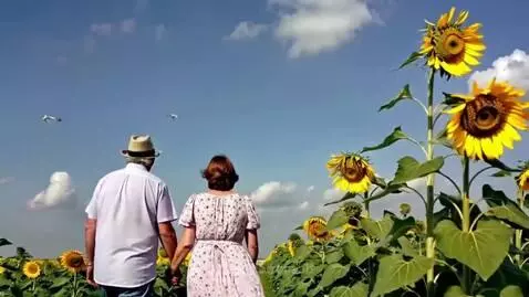 Marriage Goals by yaab