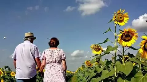 video poster