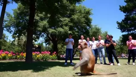 Video by vatsalya